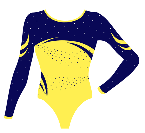 Gymnastic Leotards and accessories